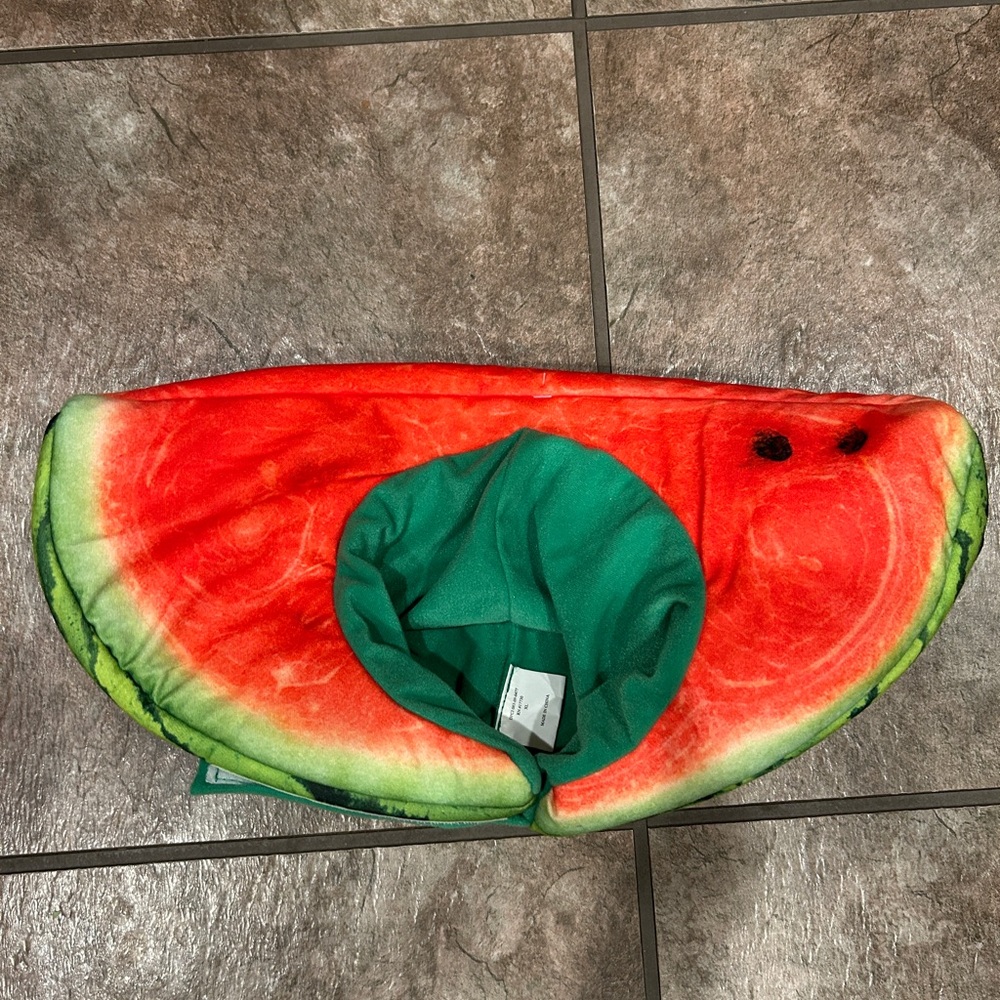 Watermelon headpiece